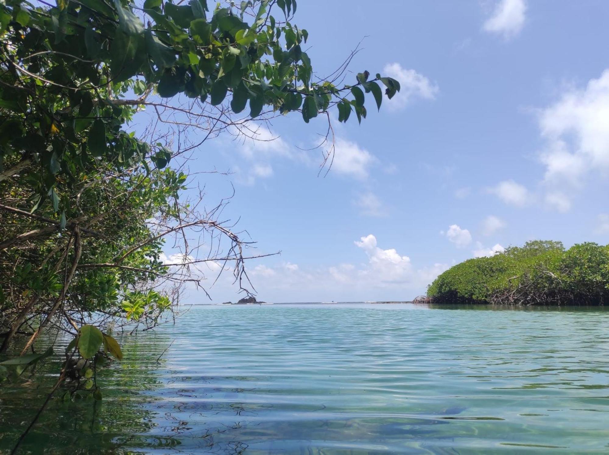 Vista Caribe Hotell Portobelo Eksteriør bilde